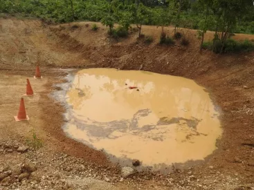 Bebês são devorados por ratos gigantes - Alagoas 24 Horas: Líder em  Notícias On-line de Alagoas