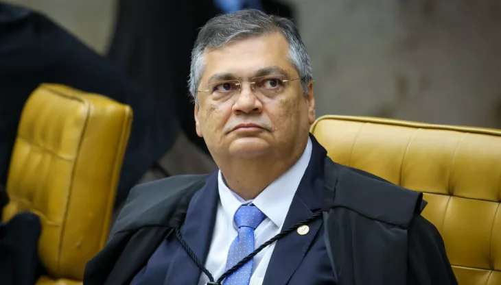 Flávio Dino cobra ações do governo contra incêndios na Amazônia