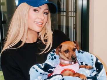 Paris Hilton adotou cachorro desabrigado